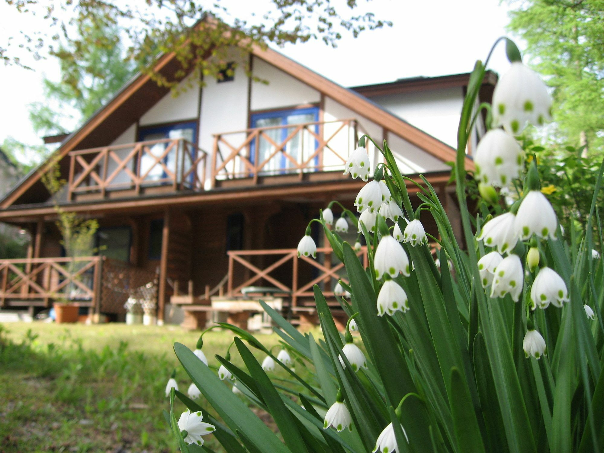 Hakuba Megeve Βίλα Εξωτερικό φωτογραφία